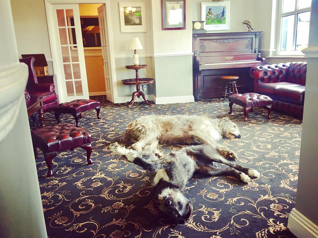 Milltown House Dingle Hotel Buitenkant foto
